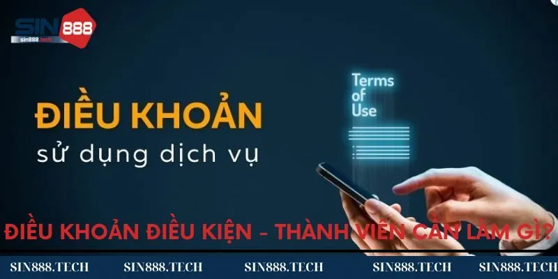 Thành viên cần làm gì để tuân thủ theo các điều khoản và điều kiện?