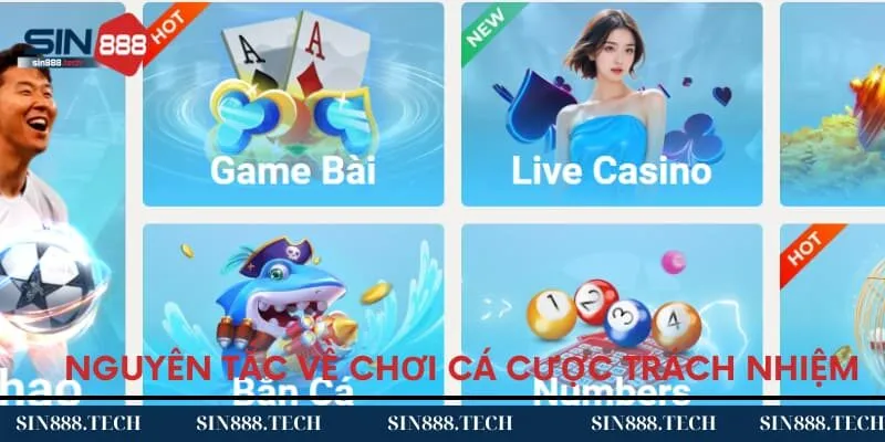 Nguyên tắc về chơi cá cược trách nhiệm