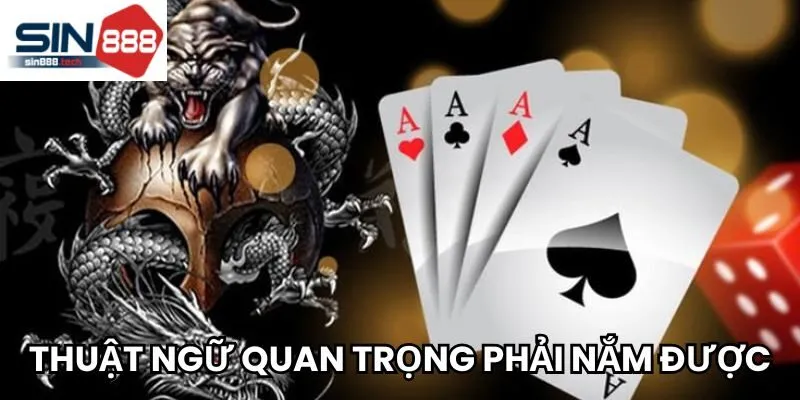 Các thuật ngữ quan trọng các newbie phải nắm được