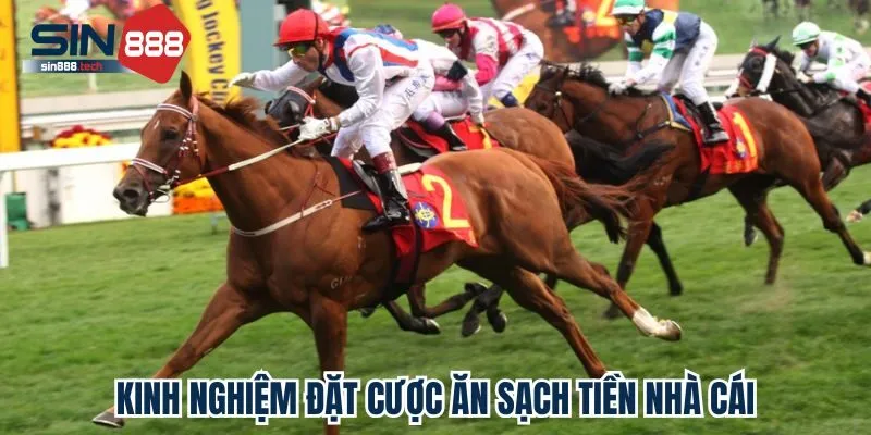 Kinh nghiệm đặt cược ăn sạch tiền nhà cái