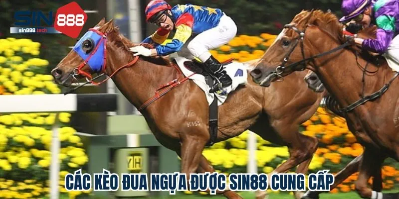 Các kèo đua ngựa được Sin88 cung cấp