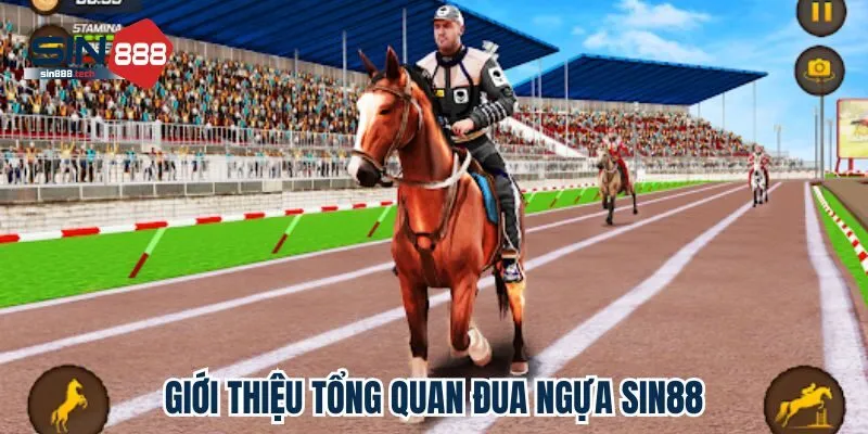 Giới thiệu tổng quan đua ngựa Sin88